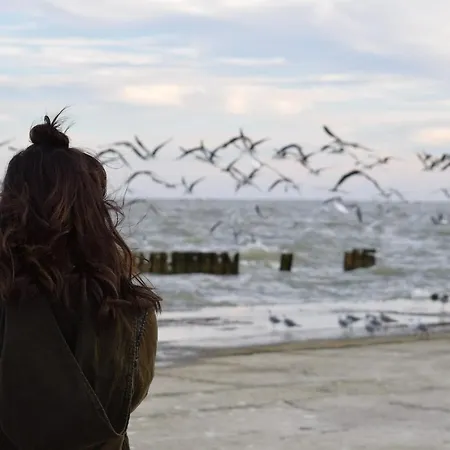 Apartamento White Pearl 0.01 *